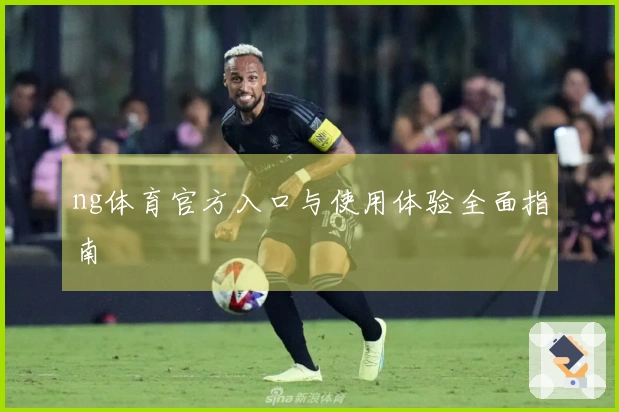 ng体育官方入口与使用体验全面指南