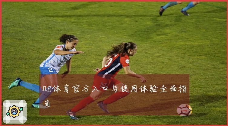 ng体育官方入口与使用体验全面指南