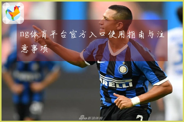 ng体育平台官方入口使用指南与注意事项