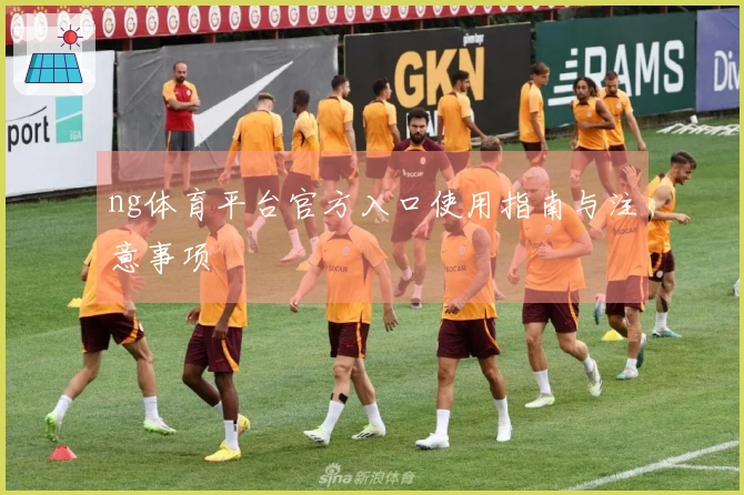 ng体育平台官方入口使用指南与注意事项