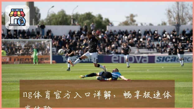 ng体育官方入口详解，畅享极速体育体验