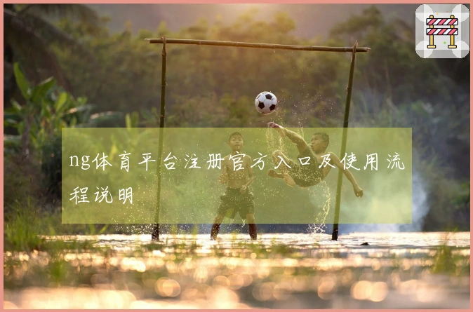 ng体育平台注册官方入口及使用流程说明
